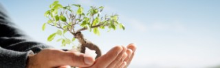 iStock_000004633733XSmall