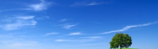 iStock_000002498306XSmall