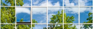 Green Business