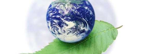 edi