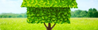 iStock_000014248323XSmall